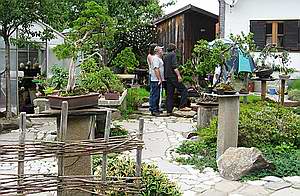 Pfronten_Hartmuts_Garten2