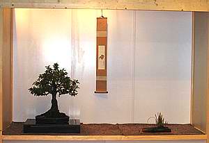 Pfronten_Toko_Herbst1