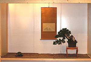 Pfronten_Toko_Winter