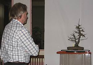 Wolfgang Baumbesprechung Wolfgang Baumbesprechung