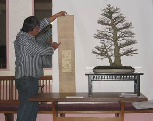 Bonsai Rollbild 1 Bonsai Rollbild 1