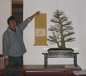 Bonsai Rollbild 2 Bonsai Rollbild 2